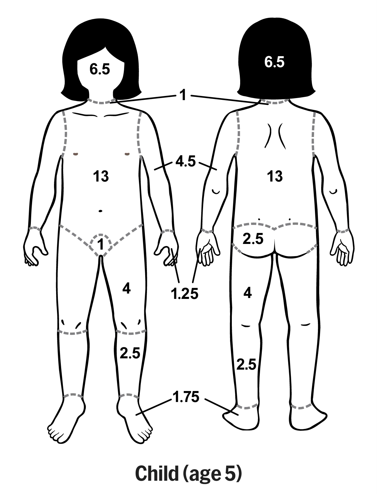 Front and back diagrams of a child with numbered areas